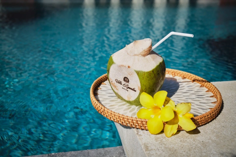 Izba Villa Ayundra v Villa Ayundra Co.,Ltd. – Villa Ayundra - Villa Ayundra